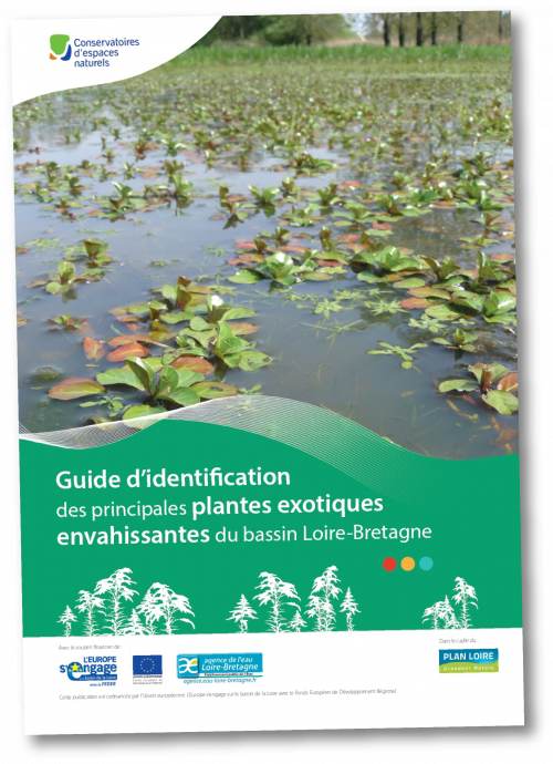 Guide d’identification des principales plantes exotiques envahissantes du bassin Loire-Bretagne