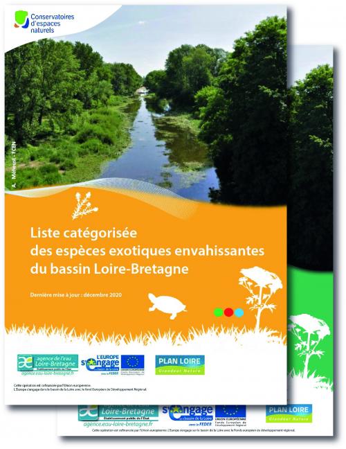 Mise à jour de la liste catégorisée des espèces exotiques envahissantes du bassin Loire-Bretagne