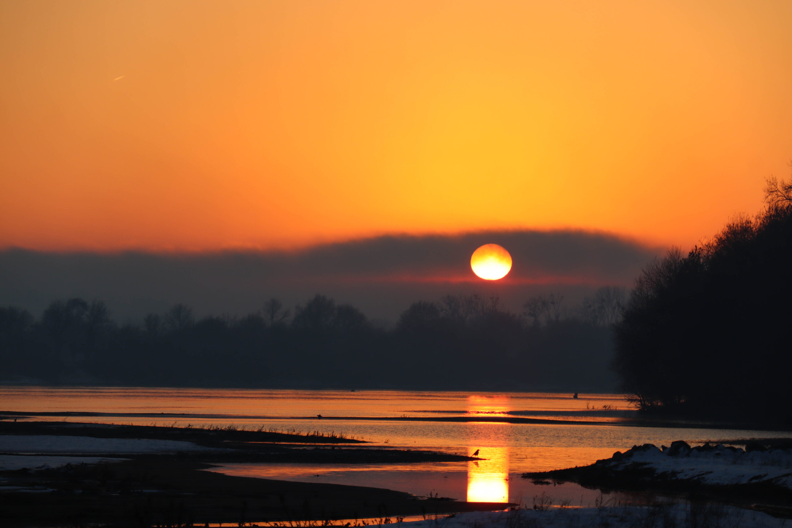 CONCOURS PHOTO 2026 – Les résultats !
