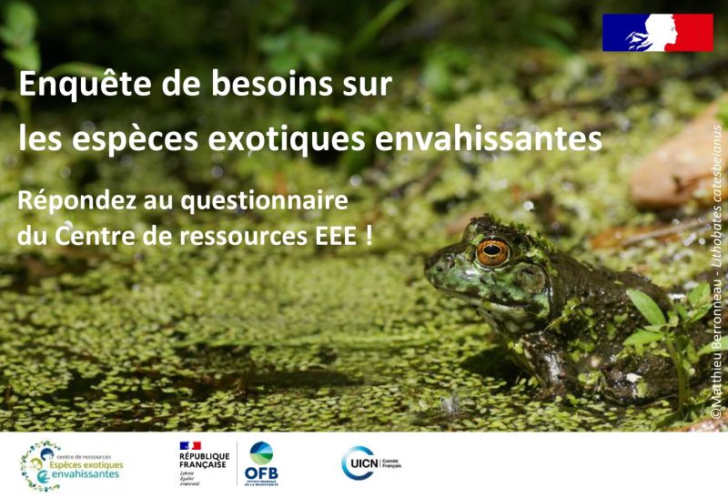 Enquête nationale – besoins sur les espèces exotiques envahissantes 