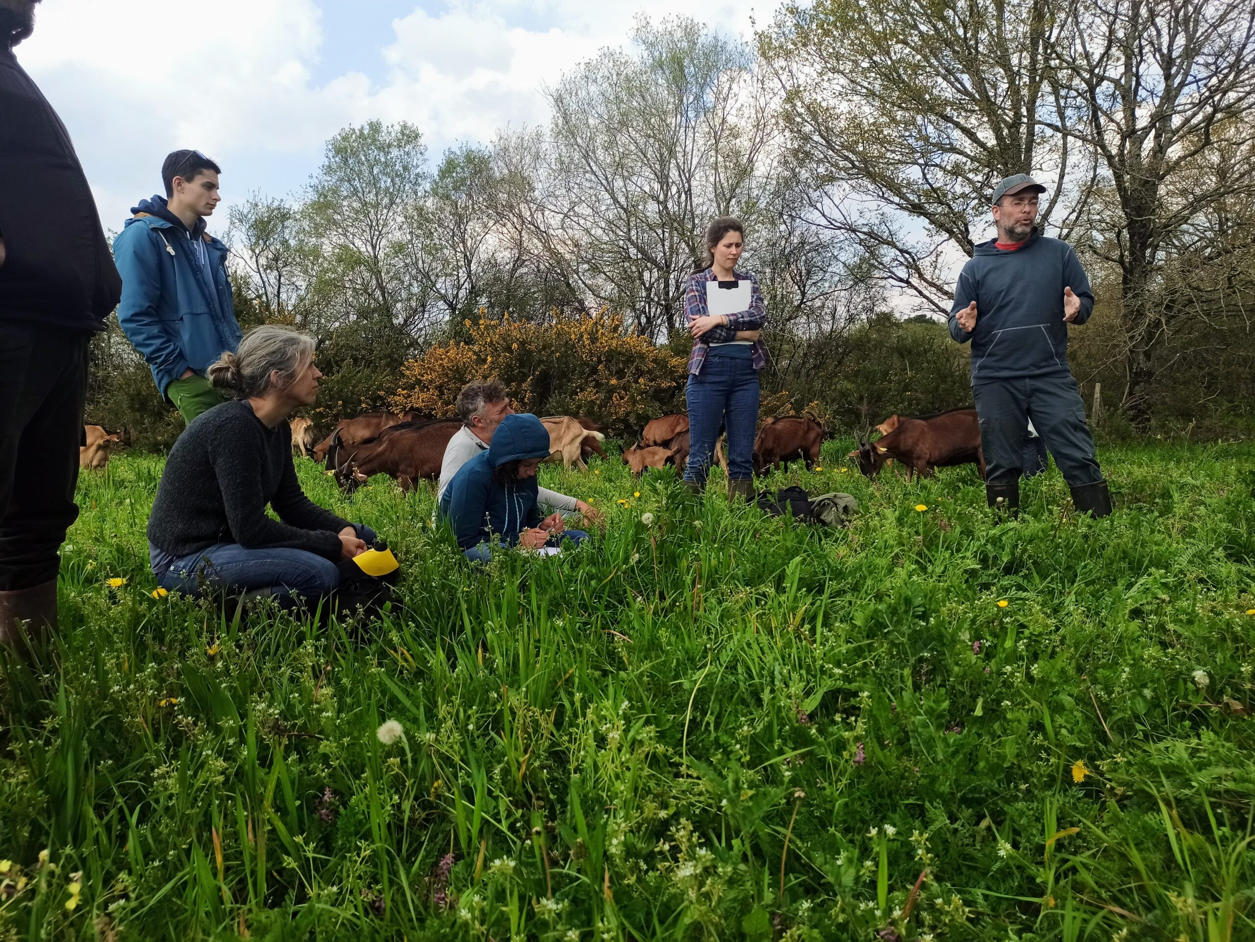 Accompagnement technique : « Repenser l’élevage en zones humides dans un projet agroécologique de territoire. Un pas de côté avec les Paysans chercheurs en biodiversités »