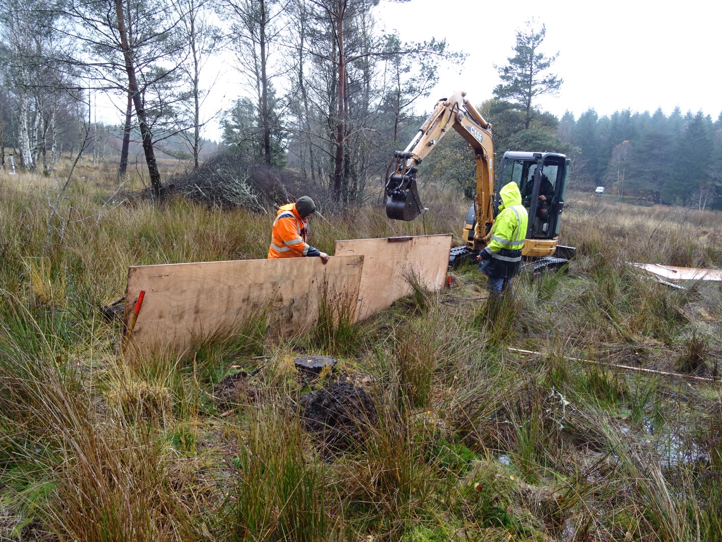 Travaux de neutralisation de fossés en tourbière, sur le site de la ferme de Lachaud (23)