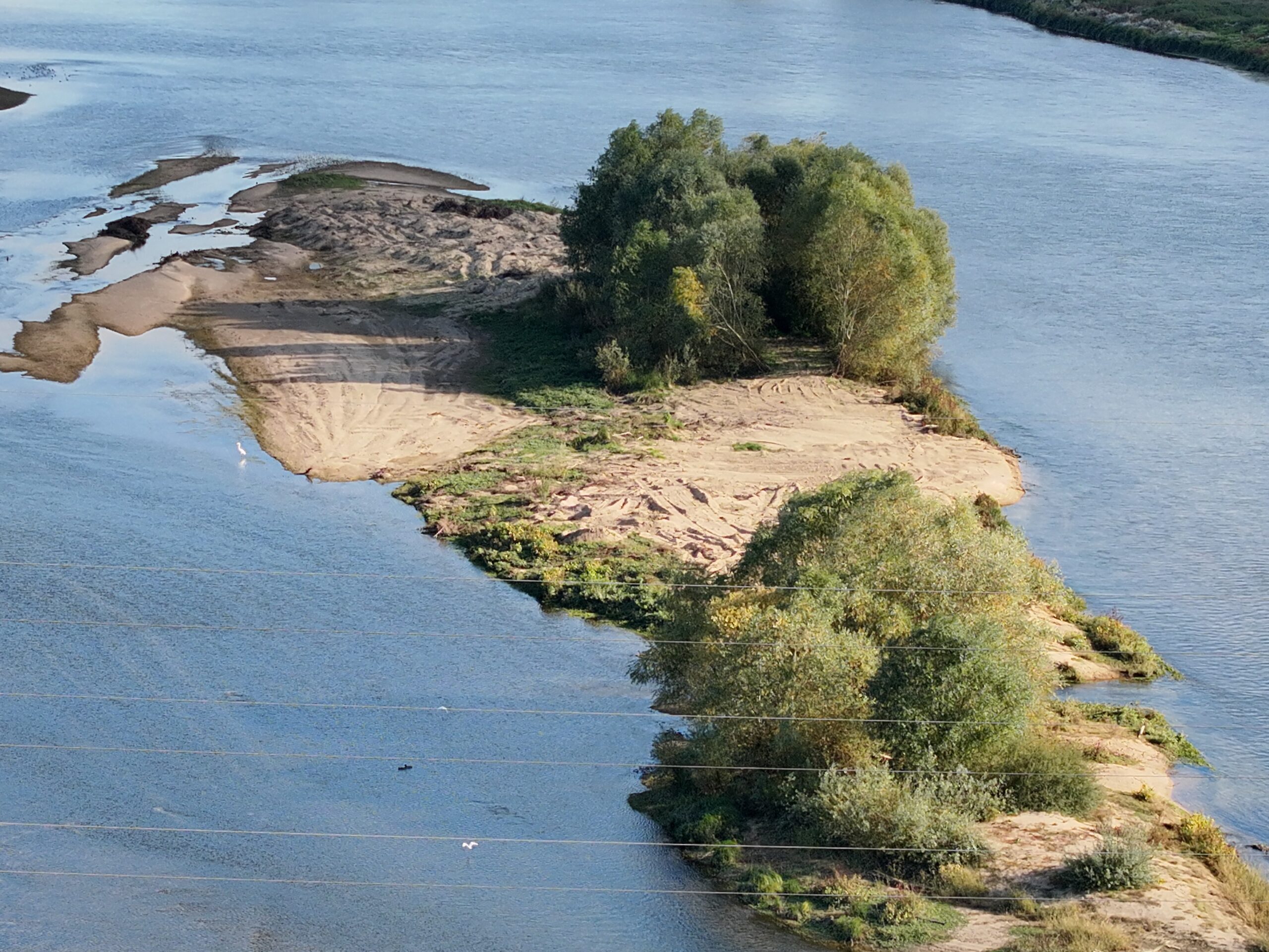 Du nouveau dans la vidéothèque&nbsp;!! Une zone refuge pour les jeunes sternes de Loire