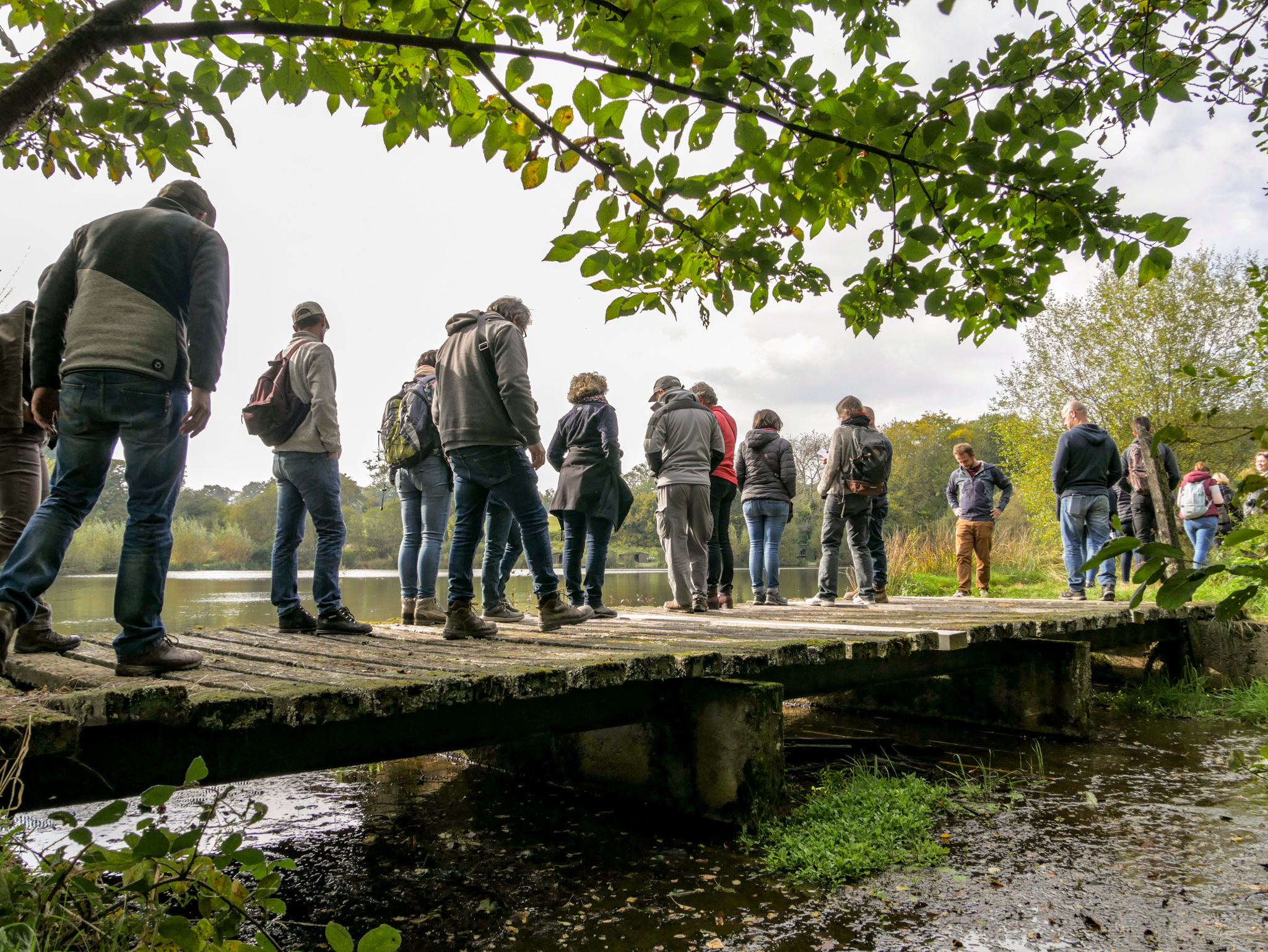 Journées espèces exotiques envahissantes du bassin Loire-Bretagne : retours d’expériences et stratégies d’action