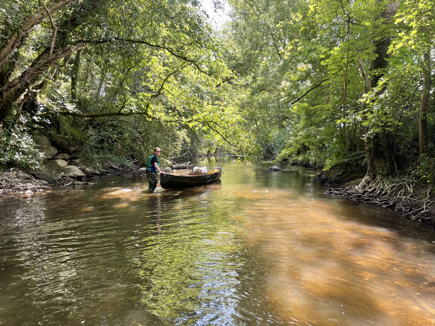 Cartographie des habitats favorables au Castor d‘Europe sur deux affluents de la Mayenne
