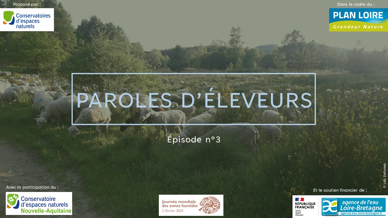 Web-Série « Élevage en zones humides, viable ou pas ? » : Épisode 3-4 et bonus