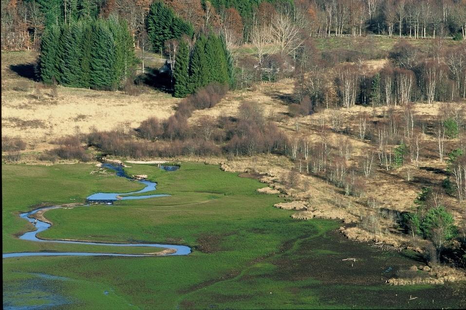 Mise en place du suivi éco-hydrologique d’un complexe tourbeux après l’effacement du plan d’eau communal de Peyrelevade