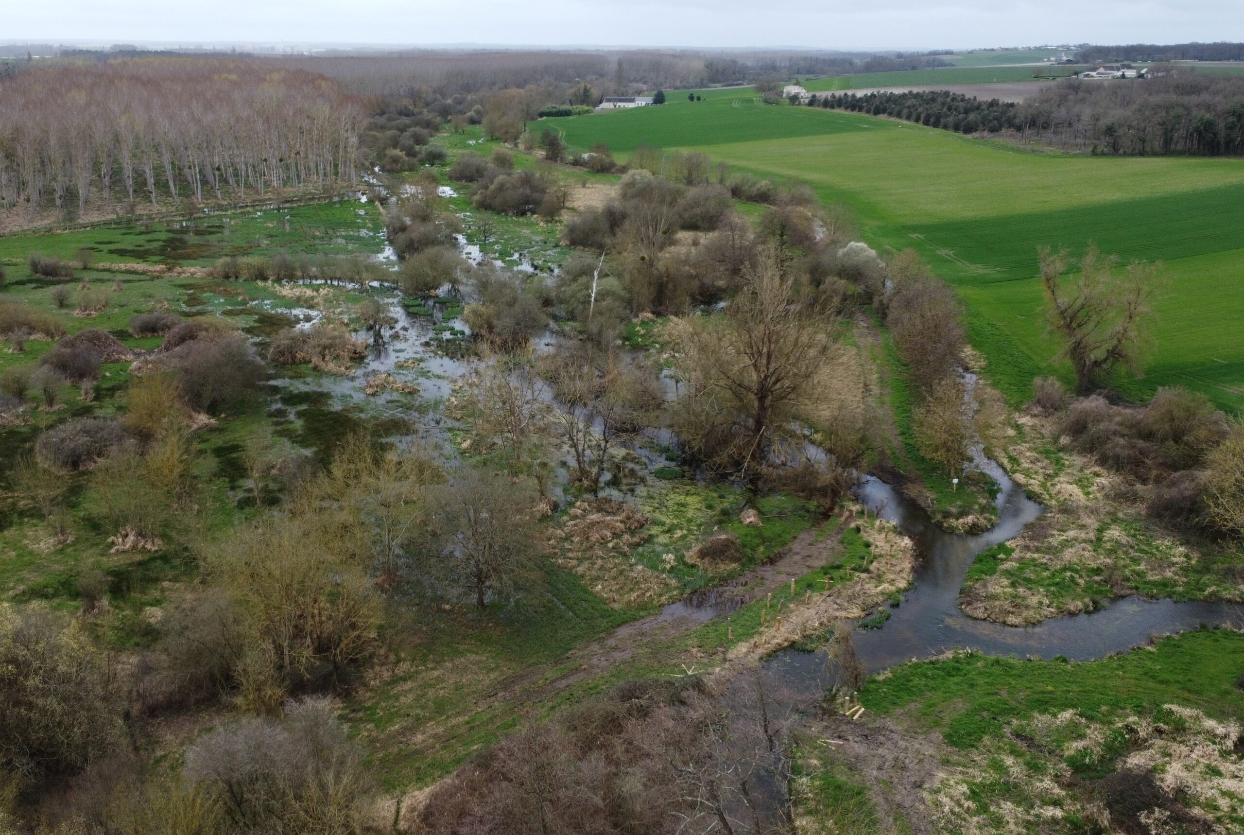 Nouveau Retour d’Expérience – Restauration du Marais de Taligny (37)